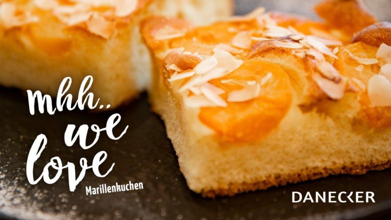 Marillenkuchen, Bäckerei Danecker, © Hannes Bittner