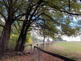 Genusswanderung, © Wienerwald