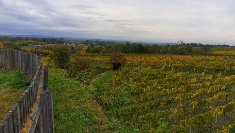 Schlossberg Mitterstockstall, © Verena Schnatter