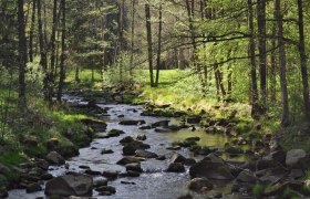 Weg entlang der Lainsitz, © Waldviertel Tourismus