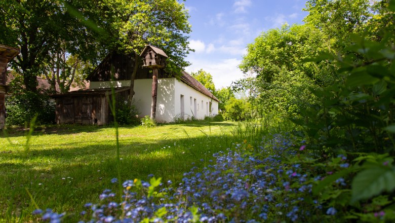 Frühling im Museumsdorf, © Roman Jandl