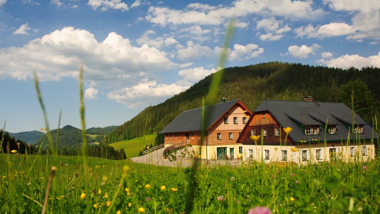 Ferienstadl Hammerau im Sommer, © zVg