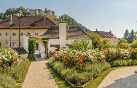 Rosengarten Kirchschlag, © Im Auftrag von Newman&amp; Co fotografie&amp; bildkonzept KG