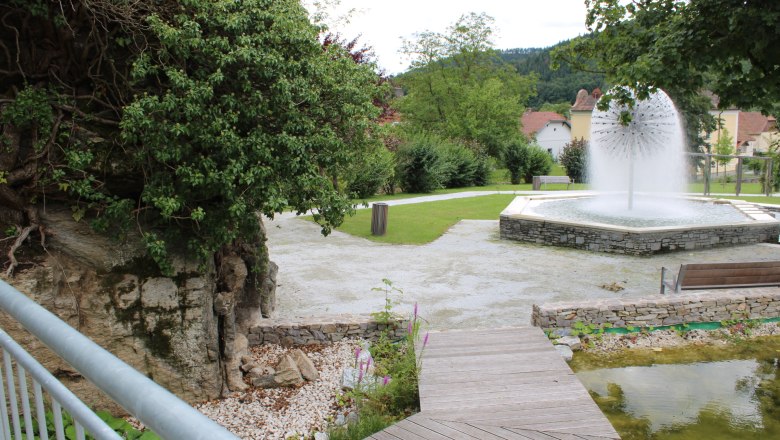 Heilwald Senftenberg, © Donau NÖ Tourismus GmbH