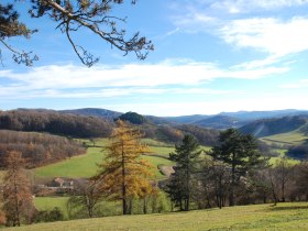 Aussicht zum Peilstein, © Wienerwald