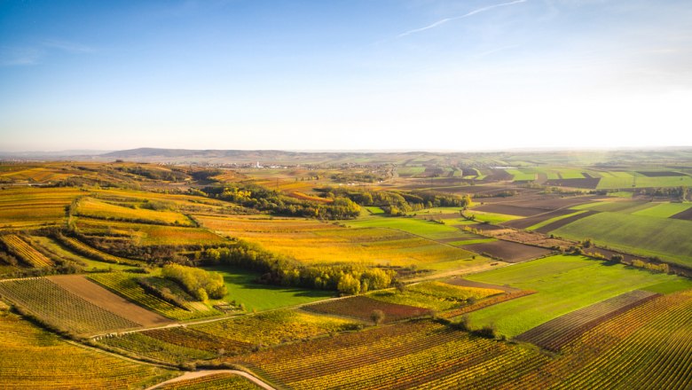 Kleinriedenthal inmitten sanfter Weinhügel, © Kastner TV