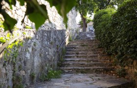 Steintreppe zwischen alten Mauern und grünen Büschen, führt zu einem Tor., © Donau_Niederoesterreich_Barbara_Elser