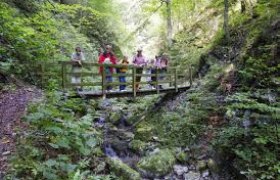 Wanderung Taubenbachklamm, © www.steinschalerwiki.at