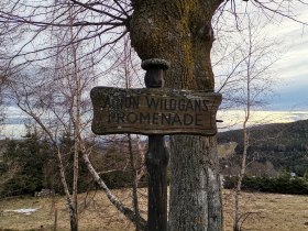 Anton Wildgans Promenade, © Wiener Alpen in Niederösterreich