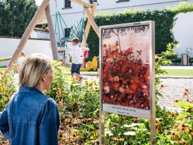 Gartenkunstwerk vor dem Museum, © Stadtgemeinde Tulln