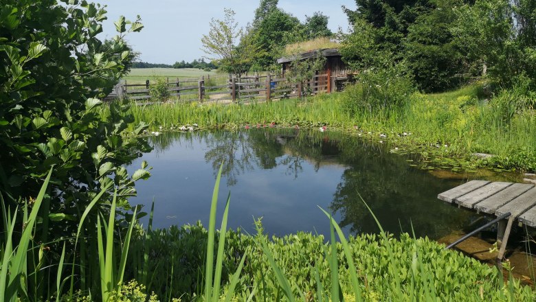 Teich, © "Natur im Garten"