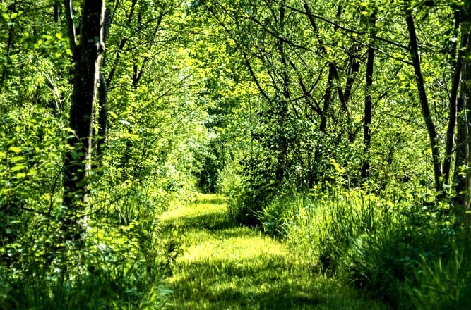 Erholung pur im Höblinghof, © Gluschitz-Goebel