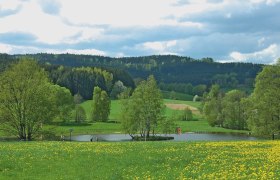 Naturbadeteich bei der Holzmühle, © Waldviertel Tourismus