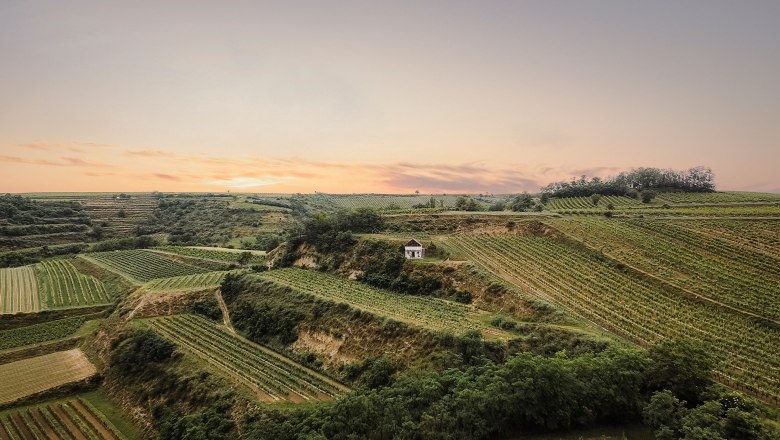 Rotweinkessel Gerichtsberg Schatzberg, © Martin Sommer