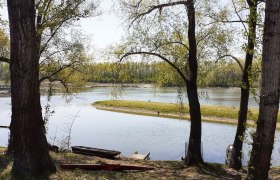 Donaualtarm Altenwörth, © Verena Schnatter