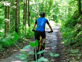 Mountainbiker genießt Ruhe und Stille im Wald, © Donau NÖ Tourismus/Barbara Elser