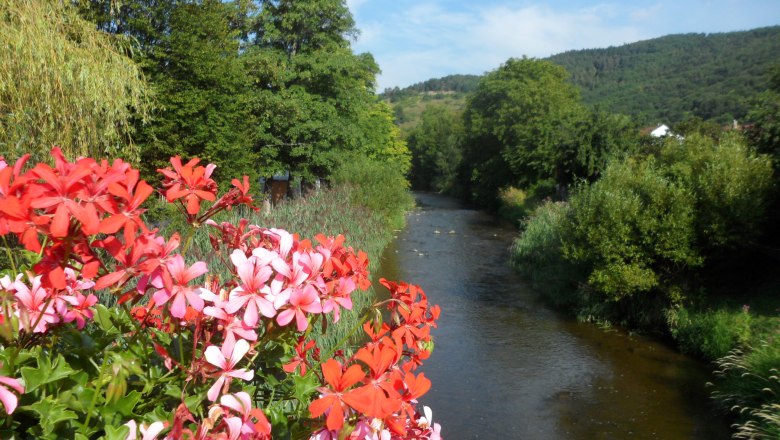 Camping Senftenberg, © Camping Senftenberg