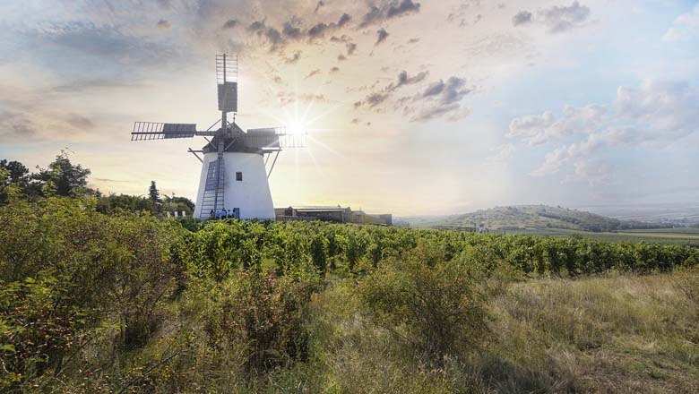 Retzer Windmühle, © Romana Fürnkranz