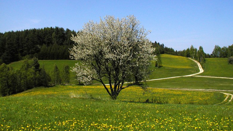 Waldviertler Hochland, © Familie Einfalt