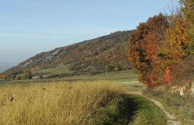 Hundsheimer Berge, © Donau Niederösterreich - Römerland Carnuntum-Marchfeld