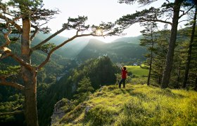 Ausblick von Breitenstein, © © Wiener Alpen in NÖ Tourismus GmbH, Foto: Franz Zwickl