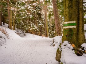 Winterwandern am Weg der Blicke Bad Schönau, © Wiener Alpen in Niederösterreich