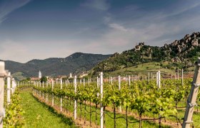 Dürnstein im Frühling, © Donau NÖ Tourismus/Robert Herbst