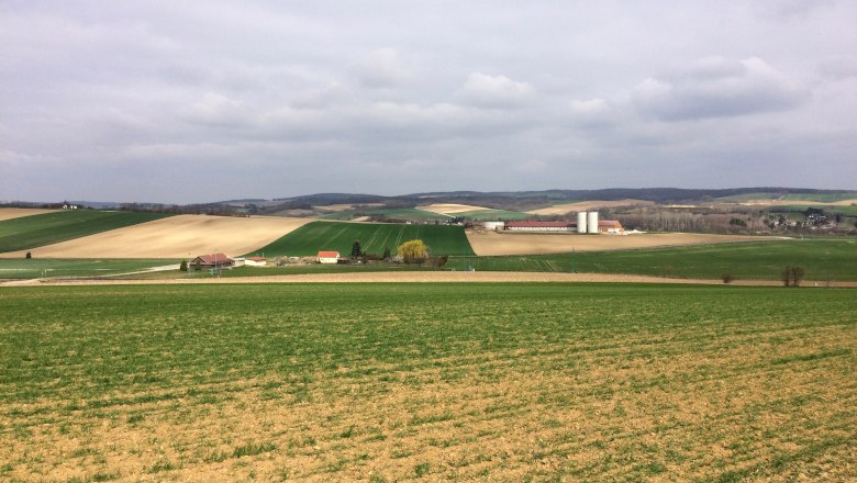 Der heutige Blick auf die 7000 Jahre alte Siedlung von Schletz, © Franz Pieler