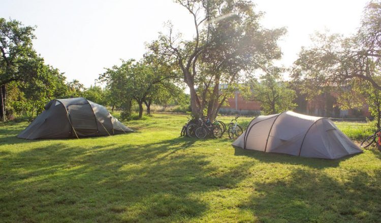 Campingwiese, © Ettenauer Weine