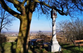 Herrliches Platzerl beim Heidbirnbaum, © Weinstraße Weinviertel