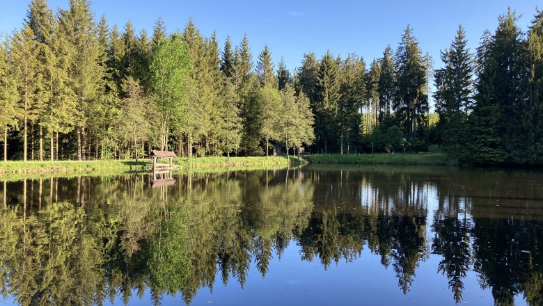 Hanslteich, 1 km entfernt, © Dieter Juster