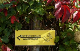 Ruppersthaler Wanderweg, © Marktgemeinde Großweikersdorf