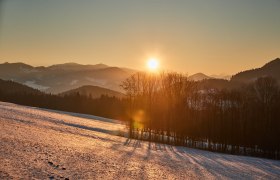 Winterwandern, © Wienerwald Tourismus GmbH / Andreas Hofer