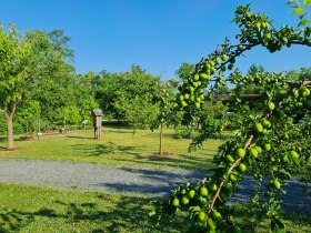 Alchemistenpark Kirchberg am Wagram, © Donau Niederösterreich - Kamptal-Wagram-Tullner Donauraum