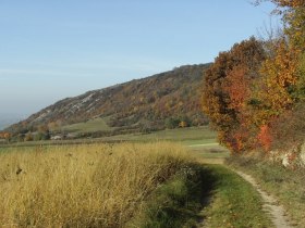 Hundsheimer Berge, © Donau Niederösterreich - Römerland Carnuntum-Marchfeld