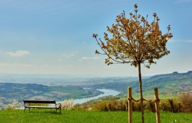 Ausblick von Klostergarten in Maria Taferl auf Donau und Nibelungengau, © Donau Niederösterreich / Klaus Engelmayer