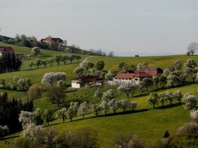 Fotopunkt St. Peter in der Au, © schwarz-koenig.at