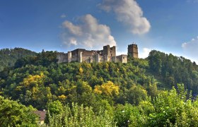 Burgruine Kirchschlag, © Alois Rasinger