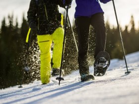 Auf Schneeschuhen durch die verschneite Landschaft, © Wiener Alpen in Niederösterreich