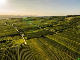 Jettsdorfer Runde, © Donau Niederösterreich - Kamptal-Wagram-Tullner Donauraum