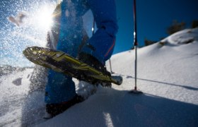 Schneeschuhwanderung, © Wiener Alpen/Claudia Ziegler