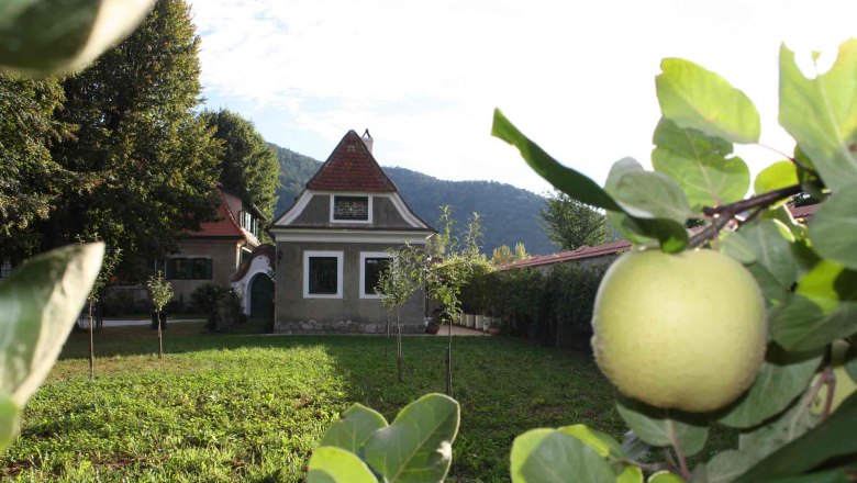 Gartenansicht im Bioweingut Schmidl, © Weingut Schmidl