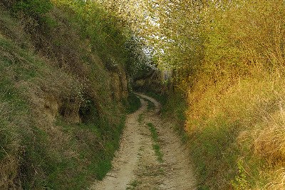 preview_wag_loess_weg2_cjosefstefan_ea01723df1_1, © josefstefan