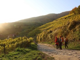 Wanderweg beim Roten Tor in Spitz, © Donau NÖ Tourismus/Doris Schwarz-König