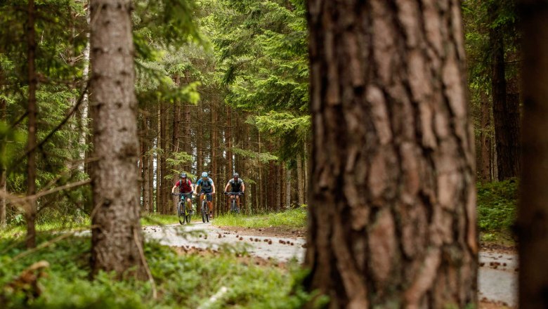 Granittrail, © Waldviertel Tourismus, Erwin Haiden