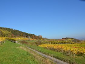 Herbststimmung im Traisental, © Walter Pernikl