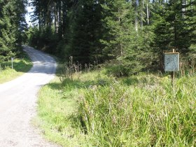 Entlang des Lichtbergweges, © Tourismusverein Bärnkopf