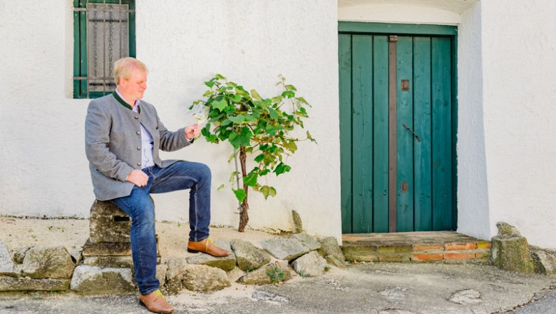 Weingut Ludwig Hofbauer, © Leonardo Ramirez