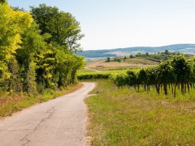 tut gut Wanderweg, © Markus Heidegger