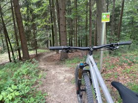 Elsbeere Singletrail, © MTB-Initiative St.Pölten